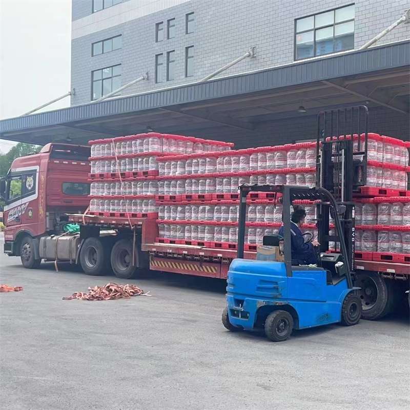 翰林镇探秘玉屏县多元物流服务与运输线路
